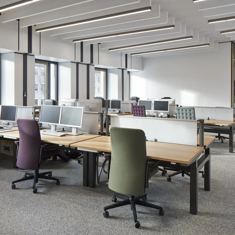 Sattler Lighting: Viele lange lineare abgehängte Leuchten über offenen Büroarbeitsplätzen.